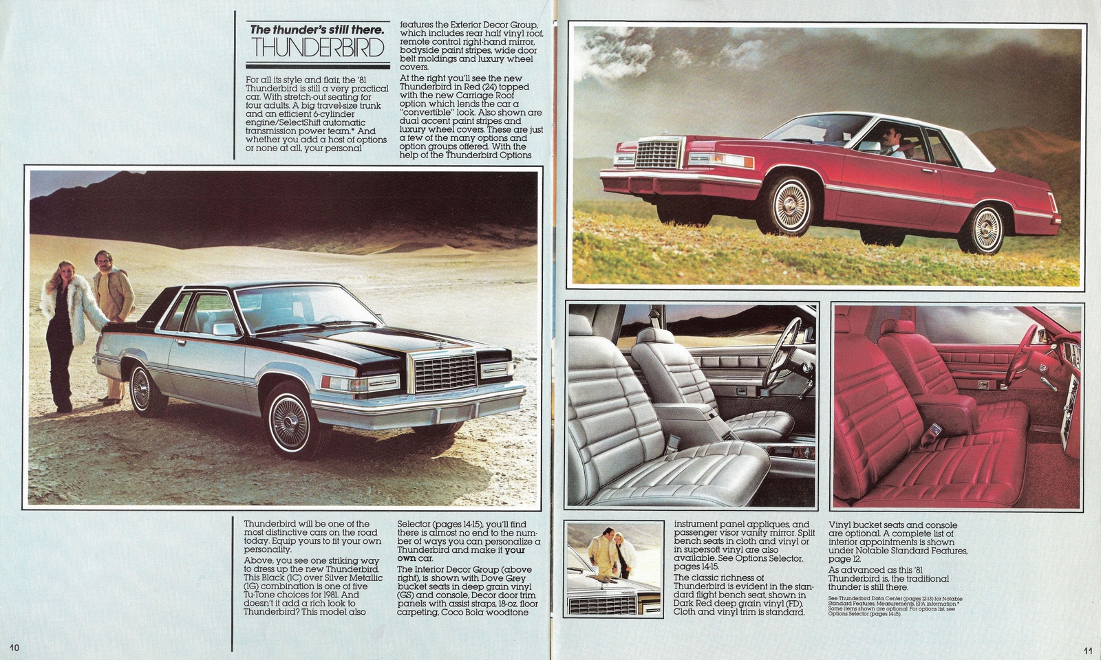 n_1981 Ford Thunderbird-10-11.jpg